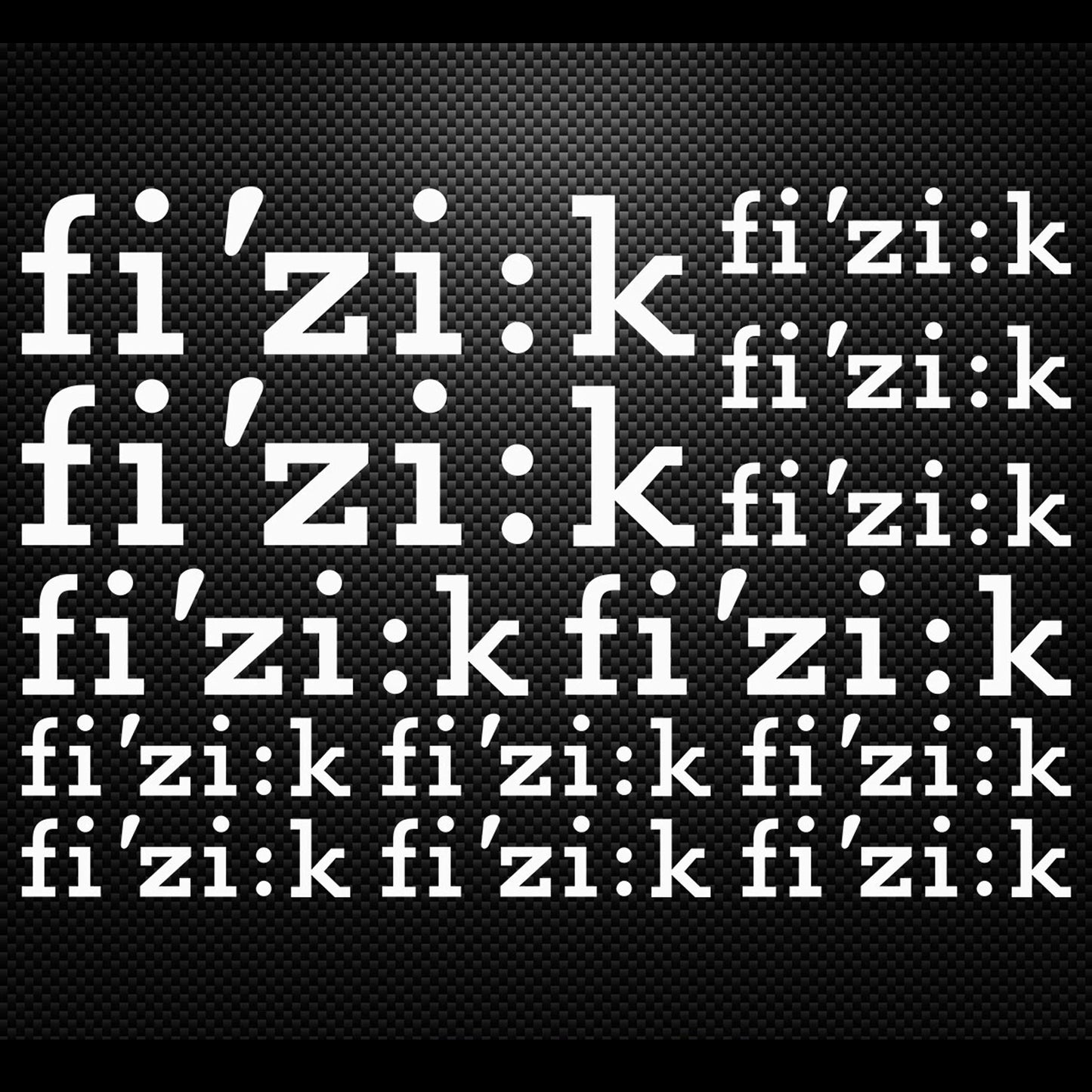 Fi'zi:k Cycling Vinyl Decal Sticker Set