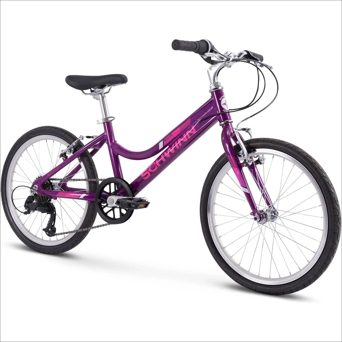 Schwinn Cycling Vinyl Decal Sticker Set